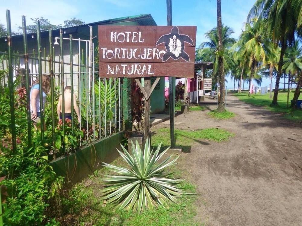 Cabinas Tortuguero Natural Hostel Eksteriør bilde